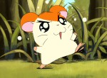 Hamtaro - image 11