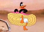 Daffy Duck - image 5