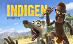 Indigen - image 1