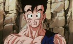 Dragon Ball Z - Film 10 : Rivaux Dangereux - image 13