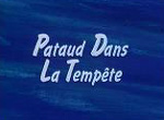 Pataud dans la tempête