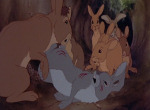 La Garenne de Watership Down - image 4