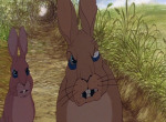 La Garenne de Watership Down - image 7