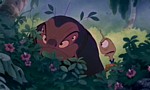 Lilo & Stitch - image 7