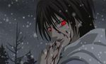 Vampire Knight - image 10