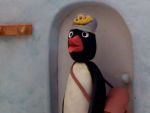 Pingu - image 7