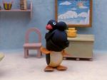 Pingu - image 12