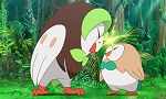 Pokémon Soleil & Lune - image 24