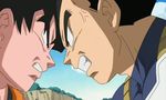 Dragon Ball : ONA - image 15